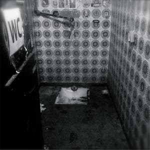 The Blessed Beat Live in Bologna - David Kollar