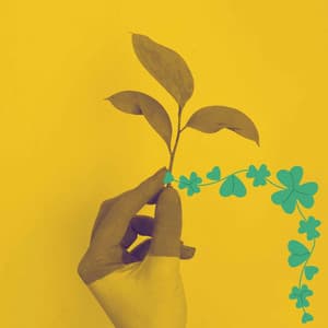 Bgm for Easy Weekends - Office Background Music Playlists