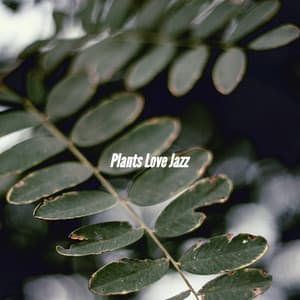Plants Love Jazz - New York City Jazz Club