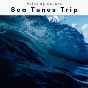 2 0 2 2 Sea Tunes Trip - Sea of Noise