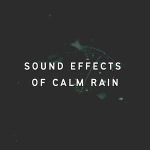Sound Effects of Calm Rain - Rain Drops for Sleep