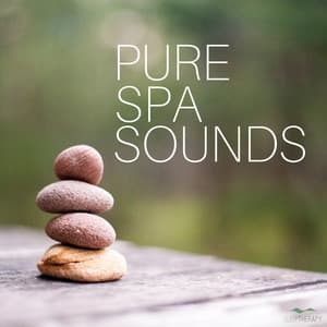 Pure Spa Sounds - SleepTherapy