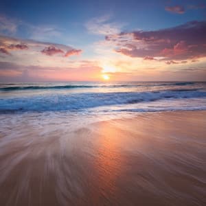 The Harmony Orchestra: A Symphony For Deep Relaxation - Day Music Harmony