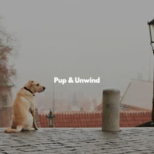 Pup & Unwind - Jazz Elegante para Hoteles