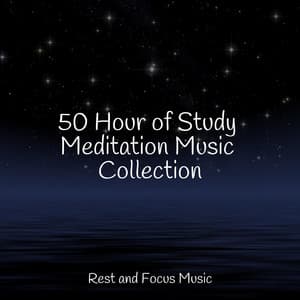 50 Hour of Study Meditation Music Collection - Spa