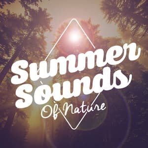 Summer Sounds of Nature - The Calming Sounds Of Nature