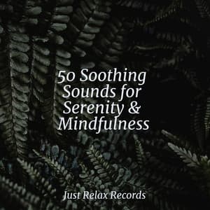 50 Soothing Sounds for Serenity & Mindfulness - Exam Study Classical Music