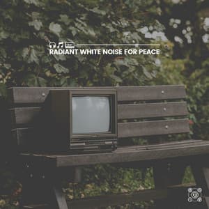 Radiant White Noise for Peace - Vacuum Cleaner White Noise
