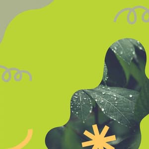 Relaxing Bossa Guitar Trio - Background for Insomnia Relief - Sleepy Jazz