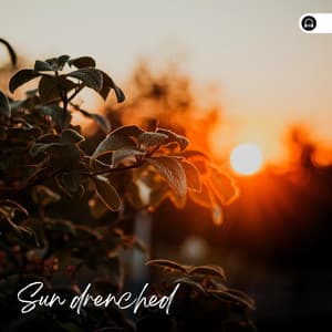 Sun-drenched - Nature Sleep