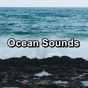 Ocean Sounds - Waves for Sleep