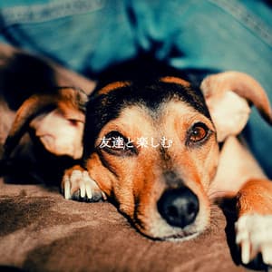 友達と楽しむ - Cooking Music Chill