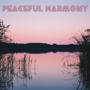 Peaceful Harmony - Soulfood