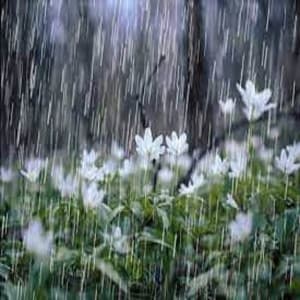 Gentle Rain Showers and Angry Thunderstorms - Ocean of White Noise