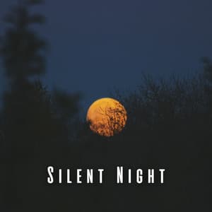 Silent Night: Ambient Music Therapy for Sleep - The Silent Minds