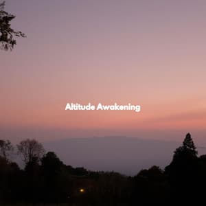 Altitude Awakening - Dîner Jazz