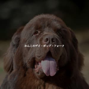 わんこのデイ・ポップ・フォーク - Relaxing Coffee Shop