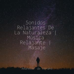 Sonidos Relajantes De La Naturaleza | Música Relajante | Masaje - Rising Higher Meditation