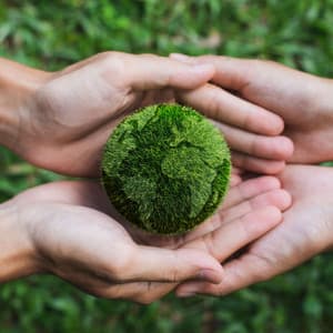 Rhythms of the Earth: Nature's Melodic Harmony - Morning Chill Out Playlist