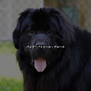 パップ・パトロール・ブルース - Soft Jazz Style