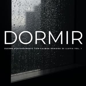 Dormir: Duerme Profundamente Con Calmos Sonidos De Lluvia Vol. 1 - Música de Concentración