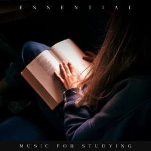 Essential Music for Studying - Study Music Library