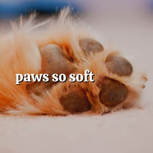 Paws so Soft - Dog Relaxation