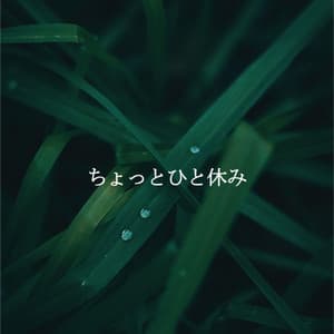 ちょっとひと休み - Cafe Jazz Relax