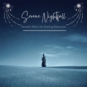 Serene Nightfall: Peaceful Beats for Evening Relaxation - Eximo Blue