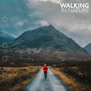 Walking In Nature - Eco Lyli