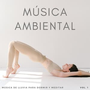 Música Ambiental: Música De Lluvia Para Dormir Y Meditar Vol. 1 - Sueño Sonidos Lluvia