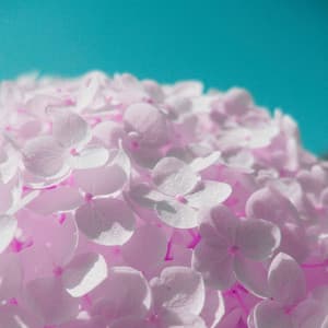 Scintillating Backdrop for Cinematic Melody - Deluxe Cafe Music