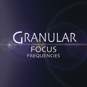 Focus Frequencies - Granular