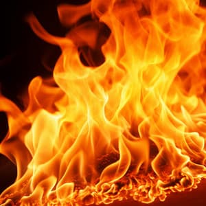 Susurros De Incendios Forestales: Sonidos De Fuego En La Naturaleza - Naturaleza 101