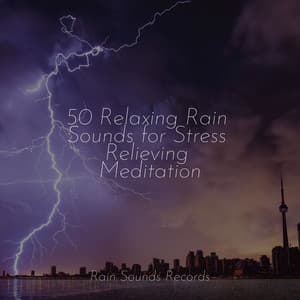 50 Relaxing Rain Sounds for Stress Relieving Meditation - Binaural Beats Brainwave Entrainment