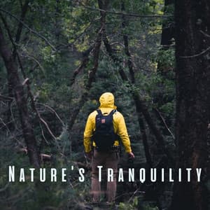 Nature's Tranquility: Chill Soundscape for Concentrated Mindset - Organic Nature Sounds