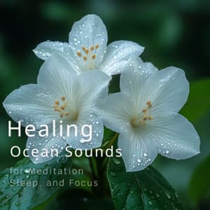 Healing Ocean Sounds for Meditation, Sleep, and Focus - Ocean Waves for Deep Sleep