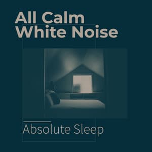 All Calm White Noise - Absolute Sleep