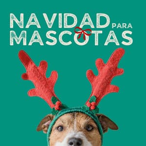 Navidad para Mascotas: Música Navideña Relajante para Aliviar la Ansiedad en Perros y Gatos - César Natal