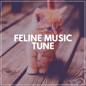 Feline Music Tune - Music for Cats Peace