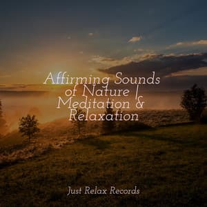 Affirming Sounds of Nature | Meditation & Relaxation - Música para Relajarse Profundamente