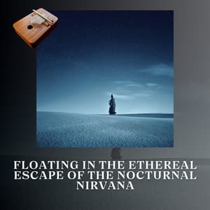 Floating in the Ethereal Escape of the Nocturnal Nirvana - New Age Anti Stress Universe