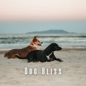 Dog Bliss: Relaxing Oceanic Meditation Melodies - Meditation