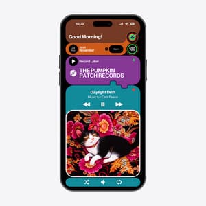 Daylight Drift - Music for Cats Peace