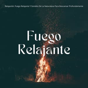 Relajación: Fuego Relajante Y Sonidos De La Naturaleza Para Descansar Profundamente - Sonidos cálidos y fríos de fuego