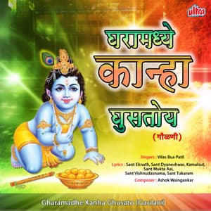 Gharamadhe Kanha Ghusato - Ashok Waingankar
