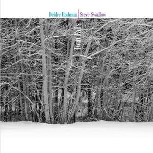 Twin Falls - Deidre Rodman