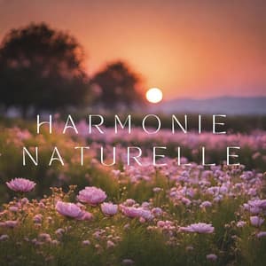 Harmonie naturelle: Sons de la nature pour le spa, la relaxation, la méditation et le calme intérieur - Musique apaisante de fond new age