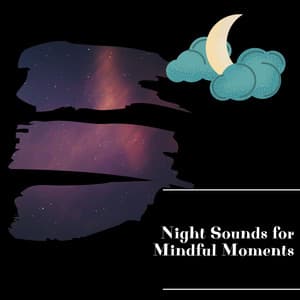 Night Sounds for Mindful Moments - Night Nature Sounds