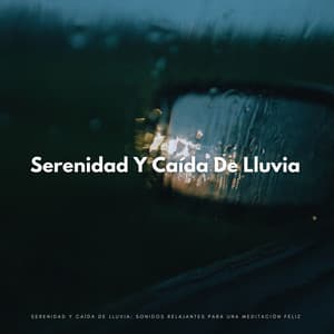 Serenidad Y Caída De Lluvia: Sonidos Relajantes Para Una Meditación Feliz - Ruido de Lluvia